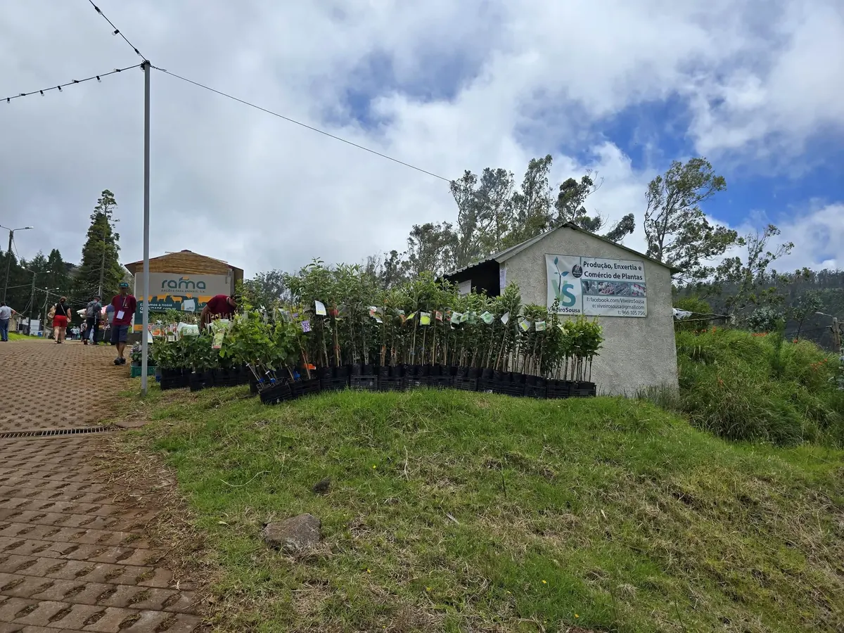 Banca de árvores de fruto ao ar livre, na relva, junto a uma estufa